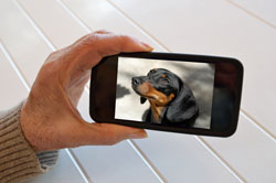© africa - Fotolia.com LG und Samsung ziehen 2013 nach